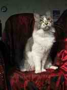 Binky�ka